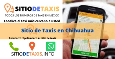 sitio de taxis en chihuahua
