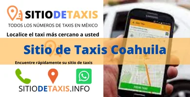 sitio de taxis en coahuila