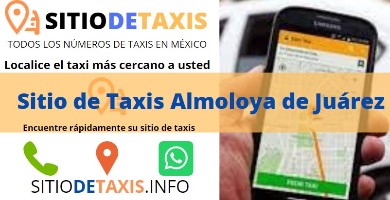 sitio de taxis almoloya de juarez
