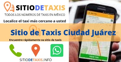 sitio de taxis ciudad juarez