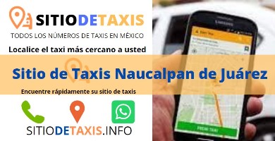 sitio de taxis naucalpan de juarez