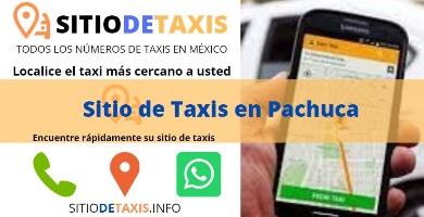 sitio de taxis pachuca
