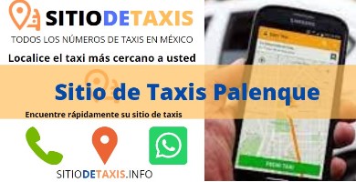 sitio de taxis palenque