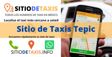 sitio de taxis tepic 1