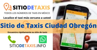 sitio de taxis en ciudad obregon