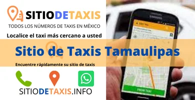 sitio de taxis en tamaulipas