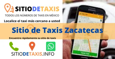 sitio de taxis en zacatecas