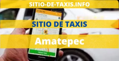 Sitio de Taxis en Amatepec
