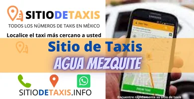 sitio de taxis AGUA MEZQUITE