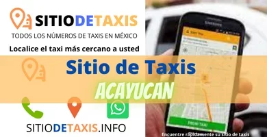 sitio de taxis Acayucan