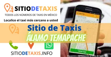 sitio de taxis alamo temapache