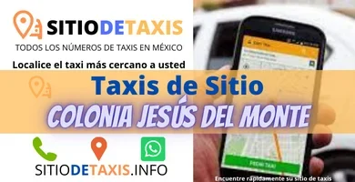 sitio de taxis jesus del monte